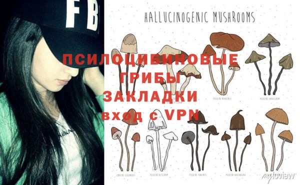 круглые Алексин