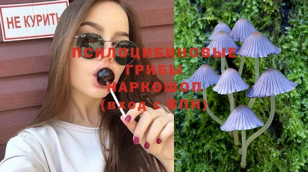 ГАЛЛЮЦИНОГЕННЫЕ ГРИБЫ Алексеевка