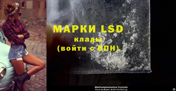 ГАЛЛЮЦИНОГЕННЫЕ ГРИБЫ Алексеевка