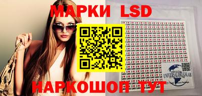 spice Бердск