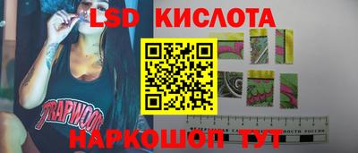 spice Бердск
