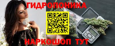 spice Бердск