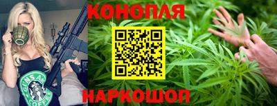 spice Бердск