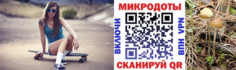 Галлюциногенные грибы мухоморы  наркошоп  Мегион 