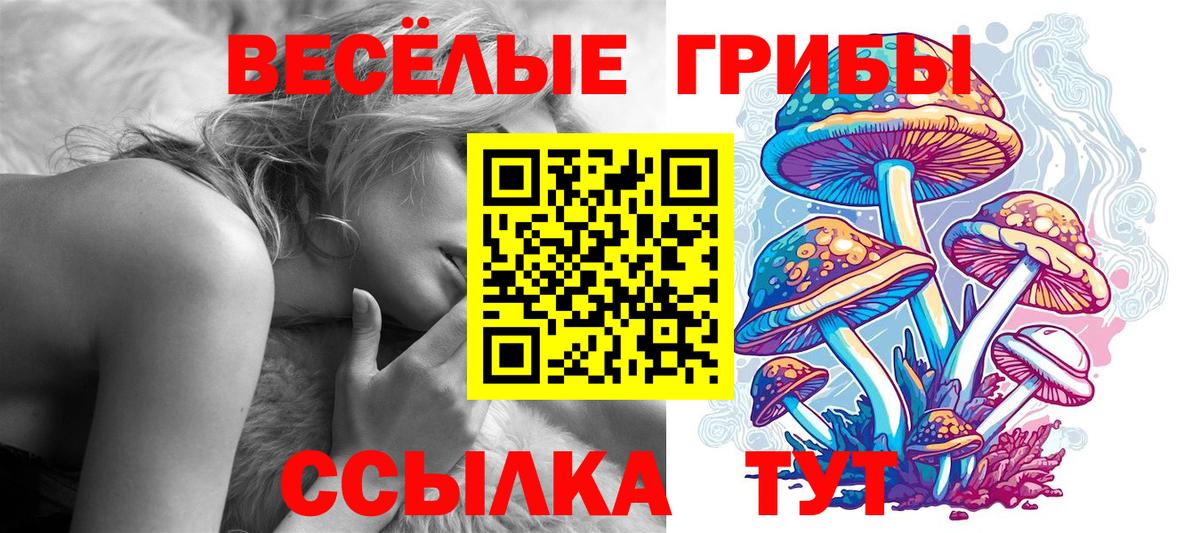 Псилоцибиновые грибы Psilocybine cubensis Мегион