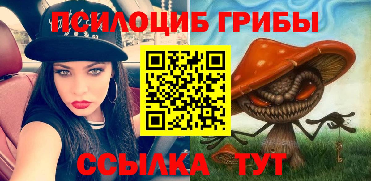 Псилоцибиновые грибы GOLDEN TEACHER  как найти   Галлюциногенные грибы Psilocybine cubensis  Мегион  Вход с VPN 